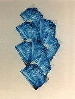 Plastic sacks (blue)